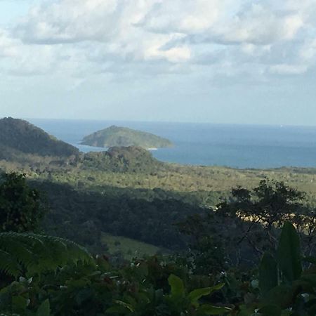 Egrets Rest Villa Daintree Buitenkant foto